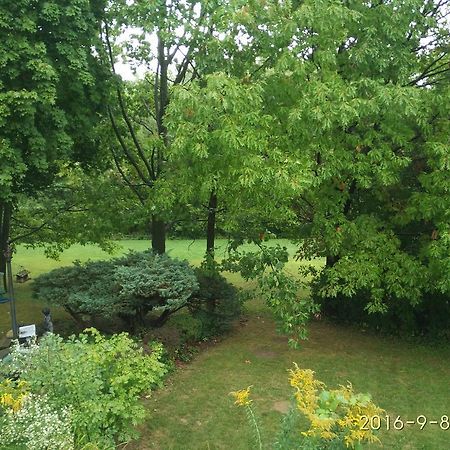 多伦多邓肯公园民宿 Toronto Duncan Park Guesthouse Zewnętrze zdjęcie