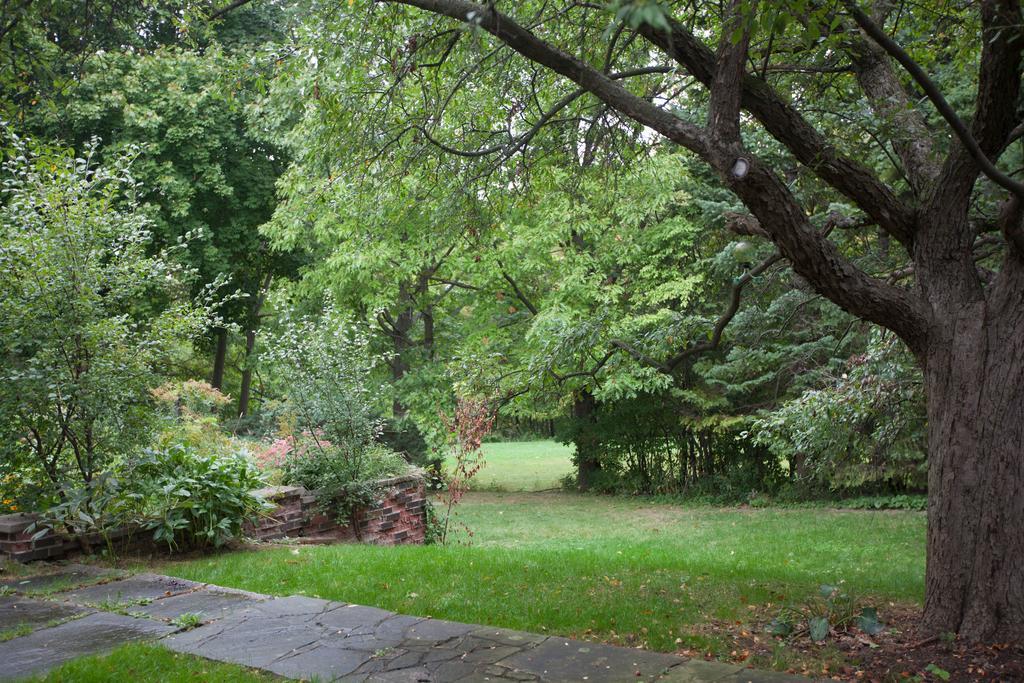 多伦多邓肯公园民宿 Toronto Duncan Park Guesthouse Zewnętrze zdjęcie